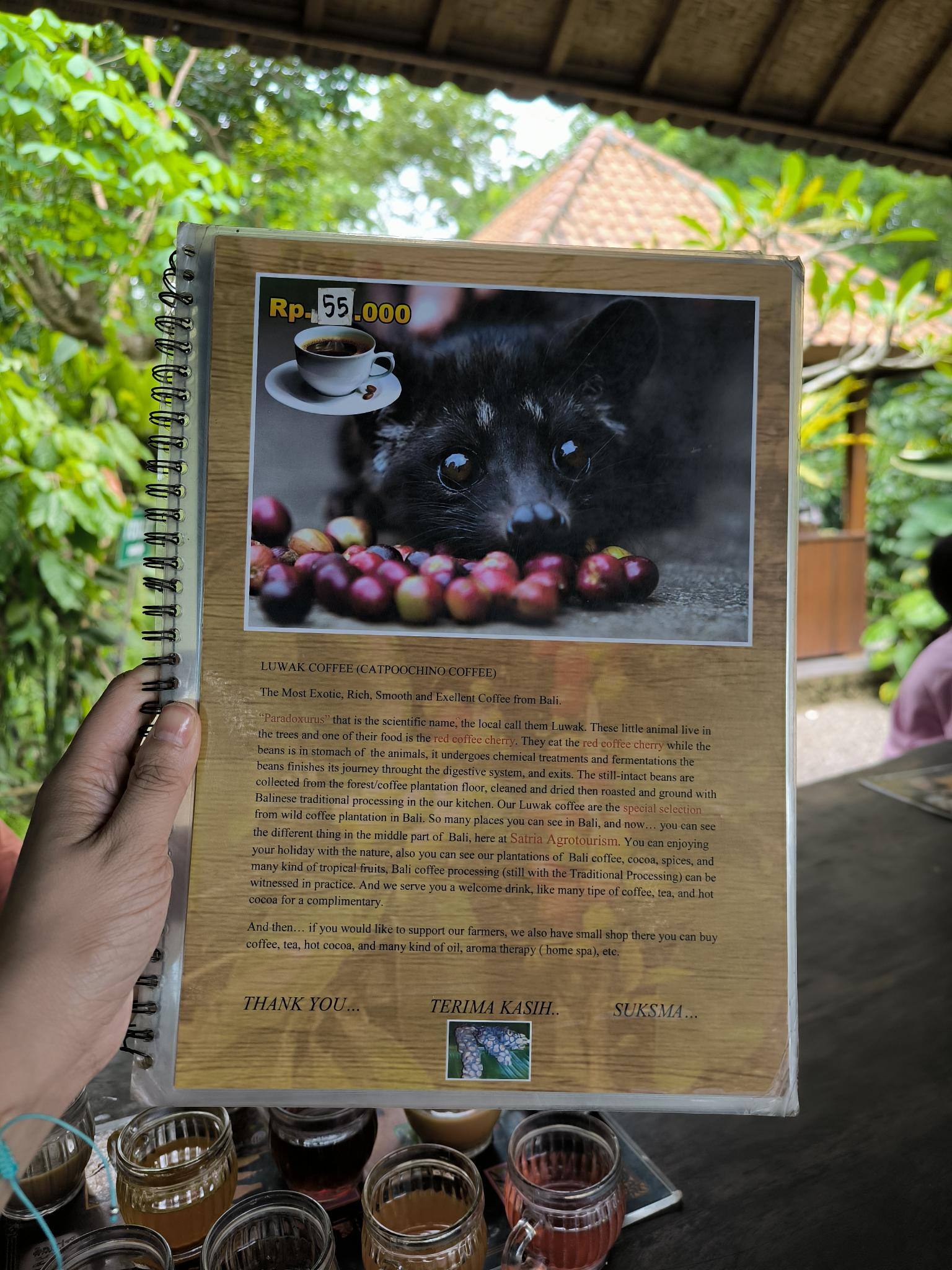 ジャコウネココーヒー「Kopi Luwak」を堪能【知りたい！現地の暮らし】
